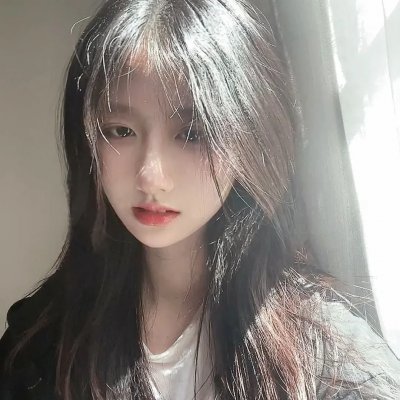 月季花开
